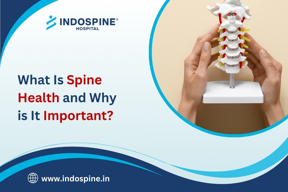 What Is Spine Health and Why Is It Important?